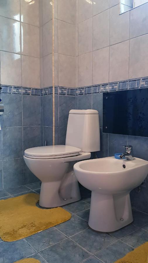 בלוגראדצ'יק Дионея מראה חיצוני תמונה