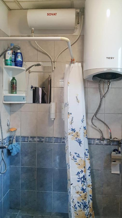 בלוגראדצ'יק Дионея מראה חיצוני תמונה