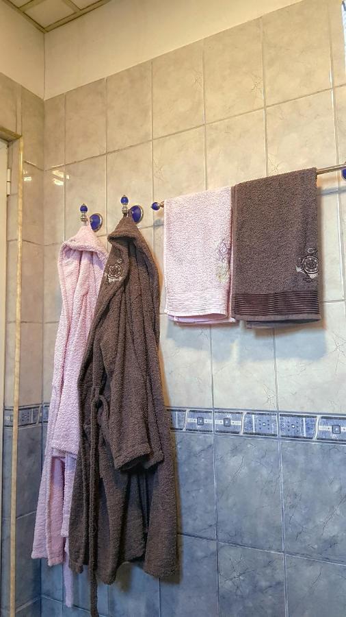 בלוגראדצ'יק Дионея מראה חיצוני תמונה